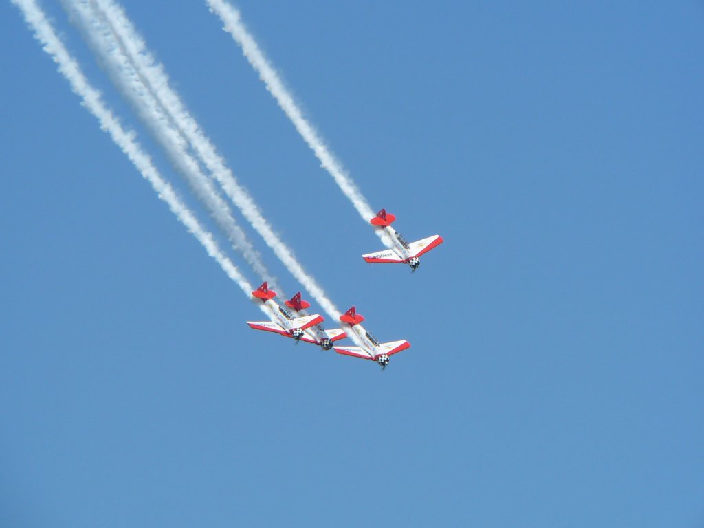 P1000315 