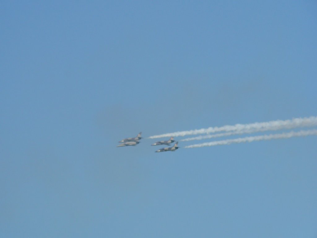 P1000334 