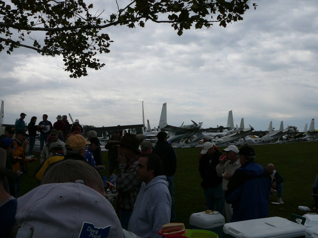 P1000575 