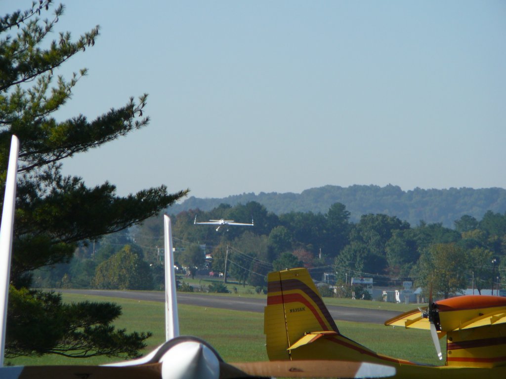 P1000652 